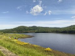 -五营红松林海景区