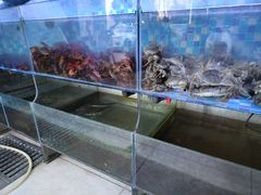 -苏小胖龙虾工坊·私房菜(金鼎华府店)