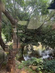 -爱帝宫月子中心(罗湖别墅院)