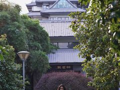-金鸡湖桃花岛