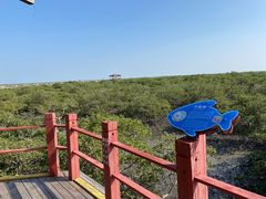 -北海金海湾红树林生态旅游区