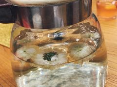 菊花茶-饭怕鱼(阳光100店)