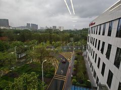 -深圳大学总医院