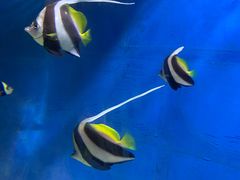-福州罗源湾海洋世界旅游区