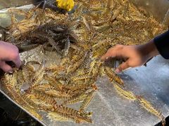 -海峡水产品交易中心(海鲜交易区)