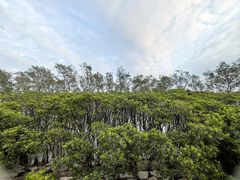 -深圳湾公园(南山区)