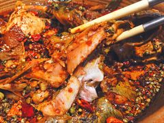 香辣黄辣丁-呱呱叫民俗风味主题餐厅(沣峪口店)