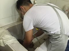-酷狗靓猫宠物·洗护·美容·寄养(航北路店)