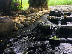 -成都市活水公园
