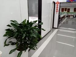 -悟空祛痘·专业祛痘机构