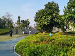 -宝安西湾红树林湿地公园