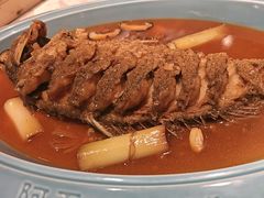 -阿五黄河大鲤鱼(英协路店)