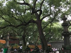 -普陀山风景名胜区-法雨禅寺