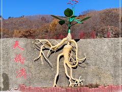 -丹东天桥沟景区
