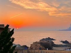 -小麦岛公园