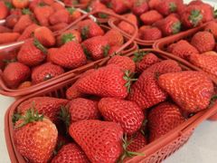 -CENTTY辛蒂咖啡·烘焙·西点(D15生活美学馆店)