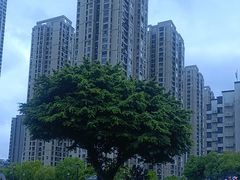 -福州工人文化宫