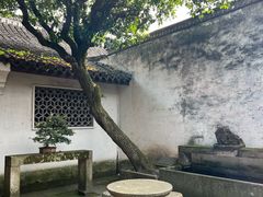 -绍兴鲁迅故里·沈园景区