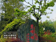 -中国大熊猫保护研究中心雅安碧峰峡基地