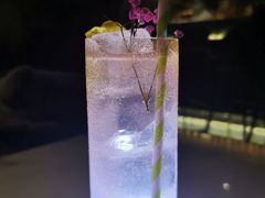 -STARRY CAFE & LOUNGE BAR(高新店)