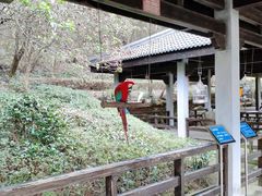 -千岛湖东南湖区