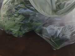 -前小桔亲子创意农场·草莓采摘·露营烧烤