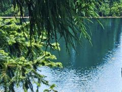 -玉苍山国家森林公园