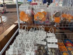 -蓝湾碧波·老字号·疍家非遗海上餐厅