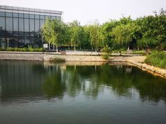 -绿岛公园(滨海新区)
