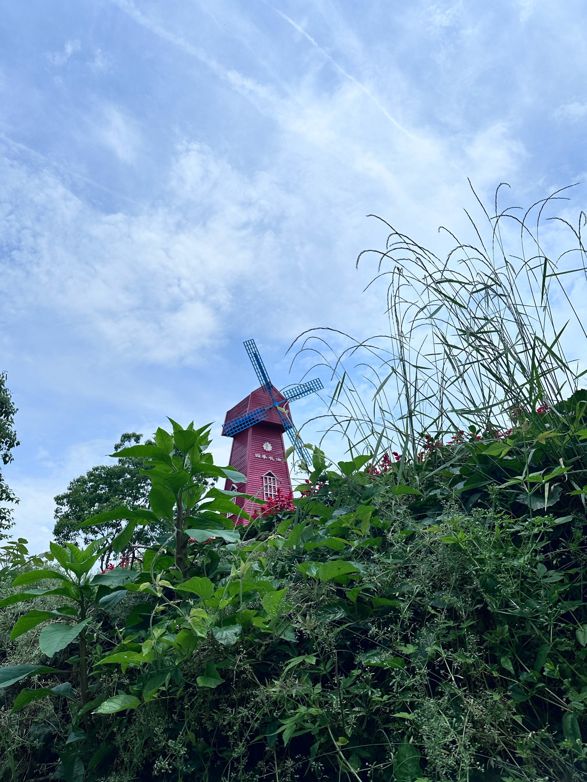 英山四季花海