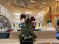 -苏州金鸡湖文博诺富特酒店