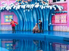 -华夏文旅海洋公园