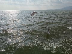 -滇池海埂公园