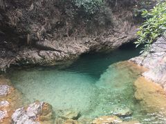 -南海湾森林生态园