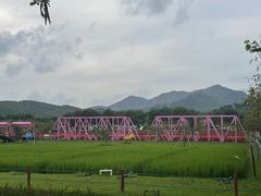 -盈香心动乐园