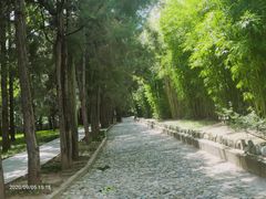 景点-蝴蝶泉公园
