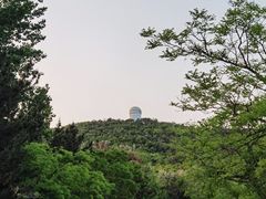 -山东大学(威海校区)