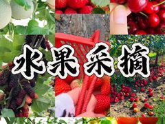 -途柚团建·拓展培训·年会策划
