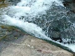 -广州白江湖森林公园