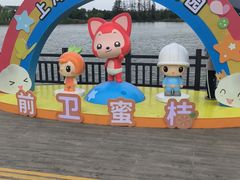 -上海长兴岛郊野公园