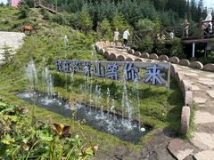 -芦芽山旅游度假区