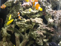 -无招牌海鲜餐厅(滨海艺术中心店)