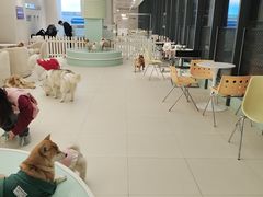 -怪兽屋·羊驼·猫咖·狗咖(俊华广场店)