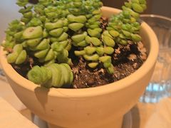 -龙治汉堡(中华城店)
