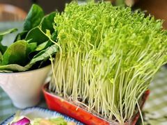 -番食园鲜食火锅(高新店)