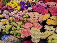 -双季花艺园艺市场(浦东店)