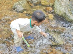 -水濂山森林公园