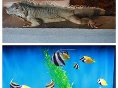 -石林冰雪海洋世界