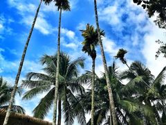 -海南槟榔谷黎苗文化旅游区