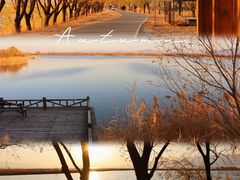 -野鸭湖国家湿地公园